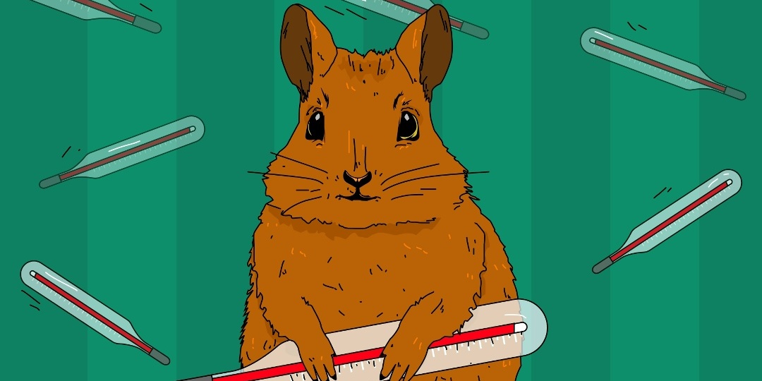 Как повышение МРОТ влияет на больничный и пособие по уходу за ребёнком