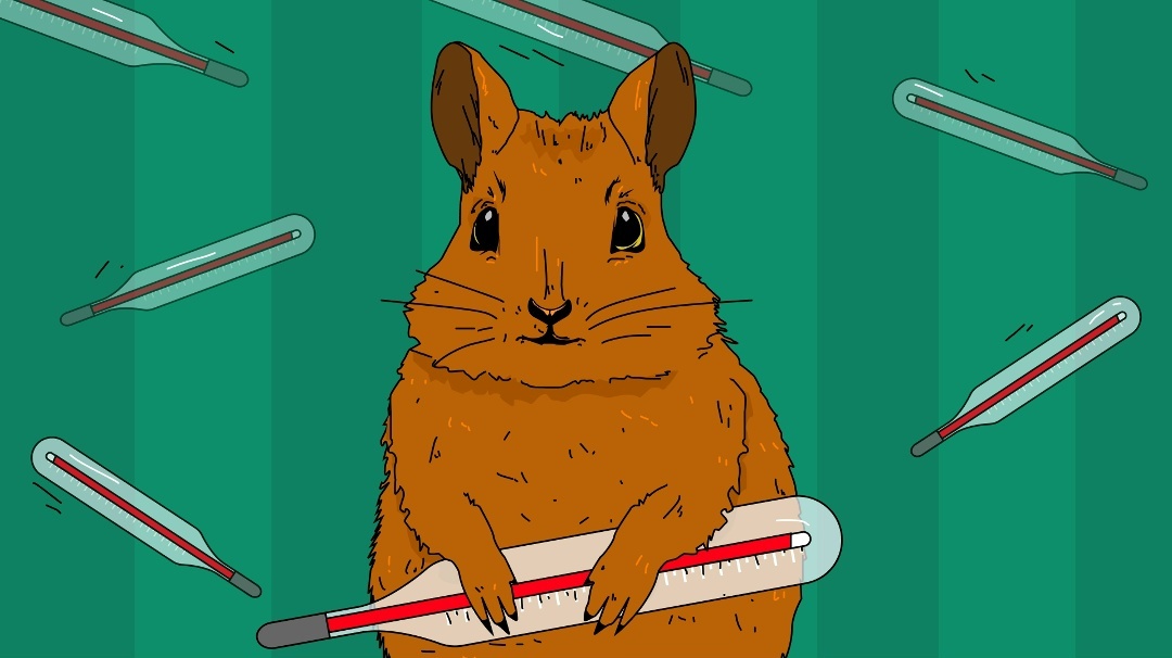 Создать карусель