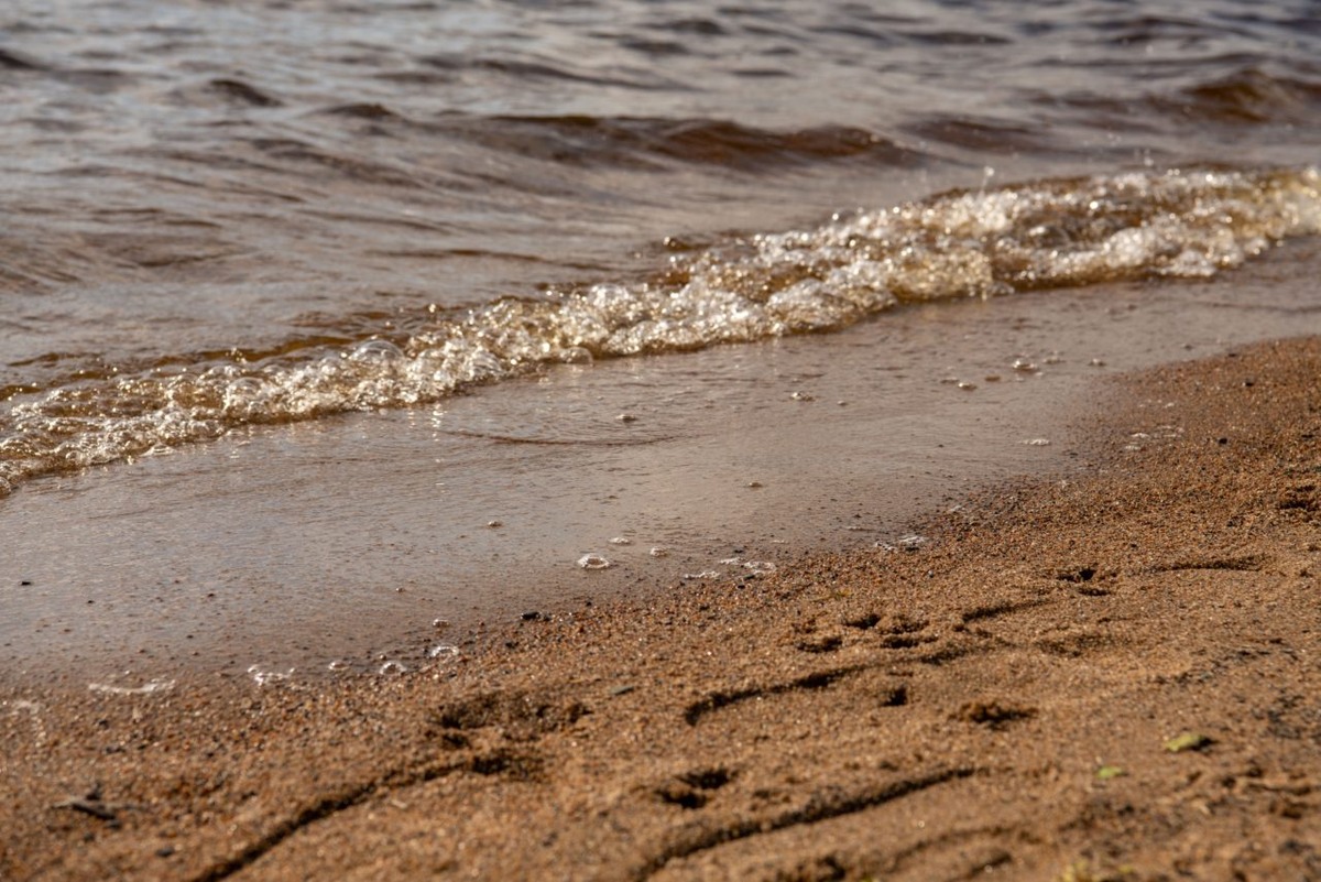    Пляж в Песках. Фото: "Республика"/ Лилия Кончакова