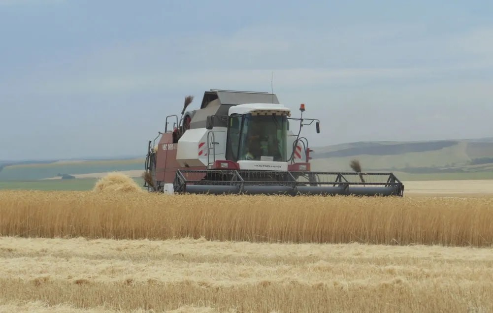    Фото предоставлено РО ВПП "Единая Россия"