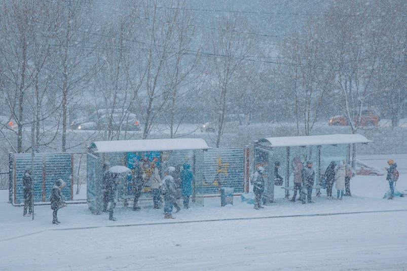     Тематическое фото. Фото: ИА OmskMedia