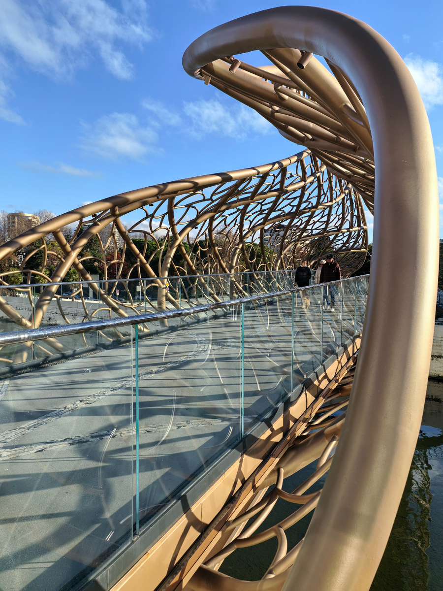 Ривьерский мост)