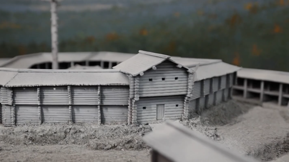 Фото: © Кадр из программы "Загадки человечества", РЕН ТВ