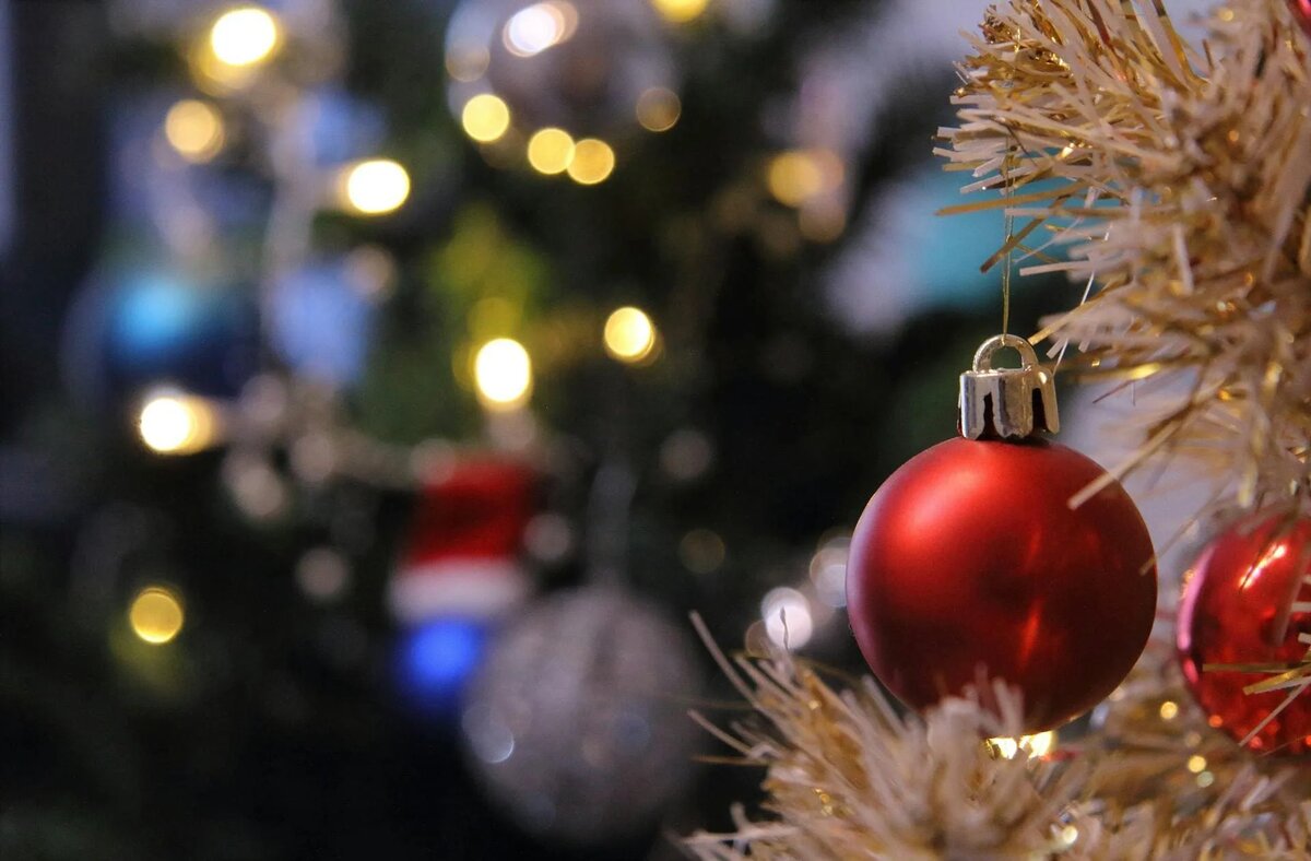 Фото: Sergio Raffa / www.pexels.com