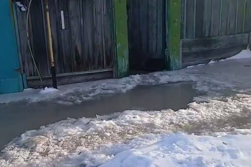     Скрин из видео. Фото: t.me/chp_55