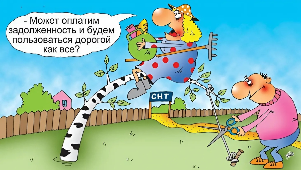 яндекс картинки