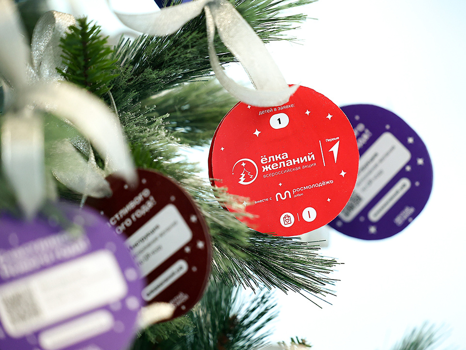    Фото: медиасток.рф