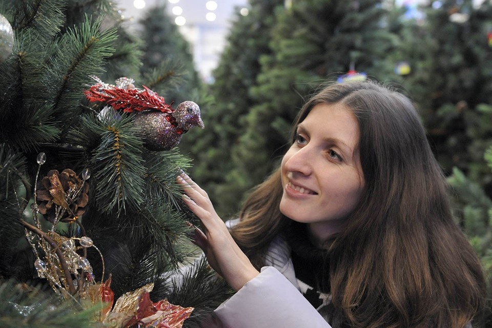    Традиционно больше всего у нас распространены ели: они довольно дешевые, хорошо пахнут, у них чаще прямые жесткие ветки, на которые удобно вешать игрушки. Олег РУКАВИЦЫН