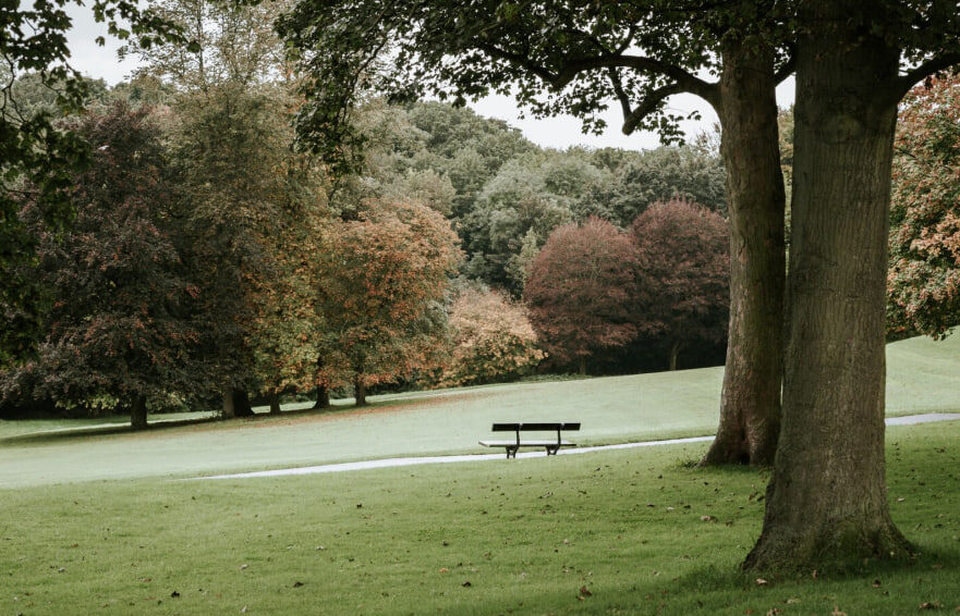    фото: фрипик