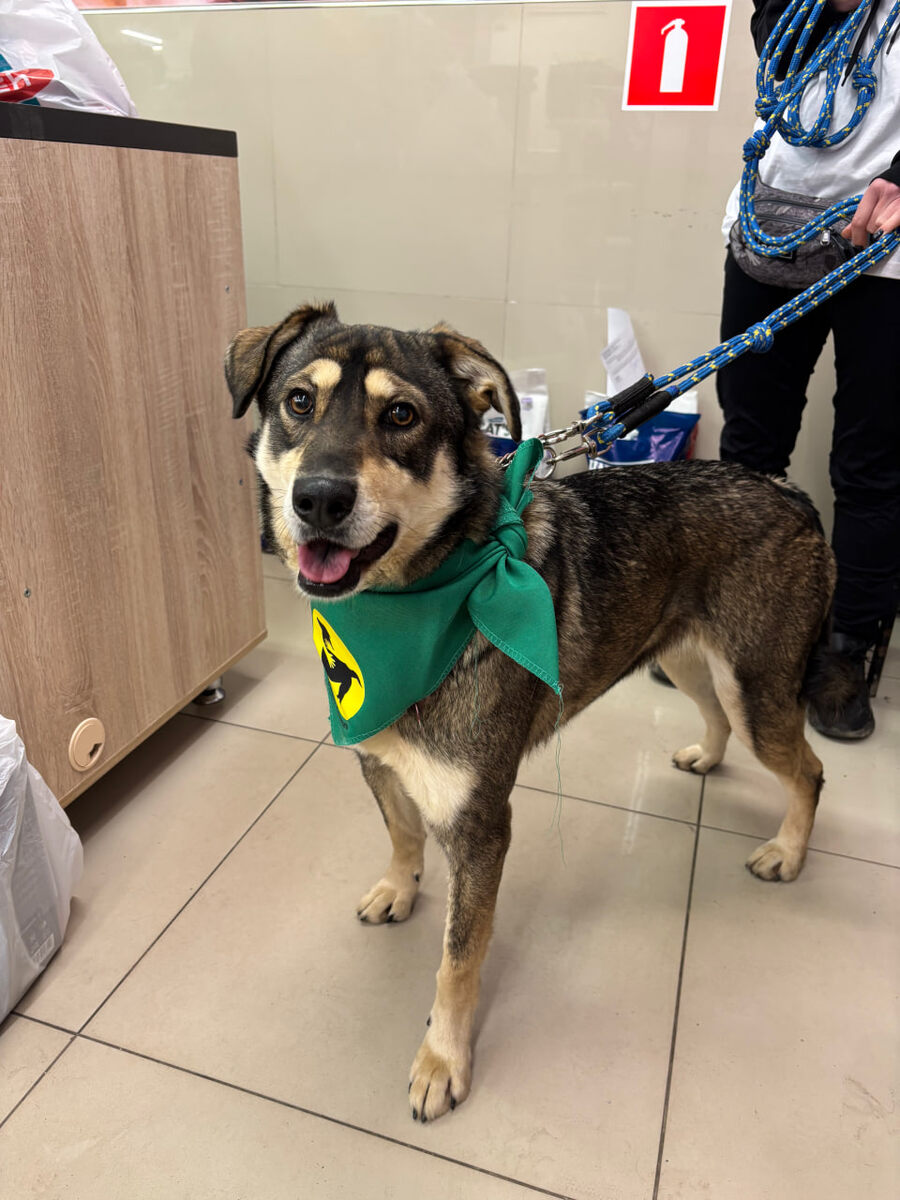 Я вообще тебя первый раз вижу, но ты мне уже нравишься:)