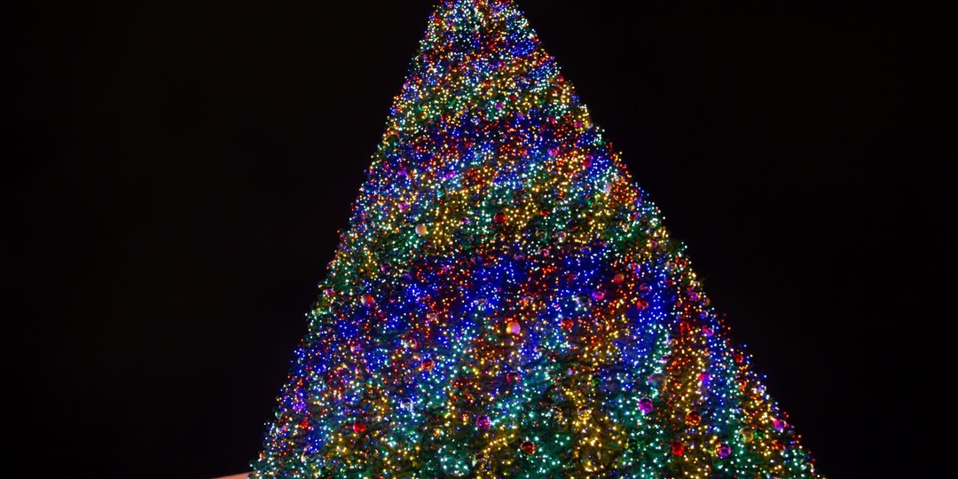 Новогодняя елка в Ставрополе зажжется 19 декабря