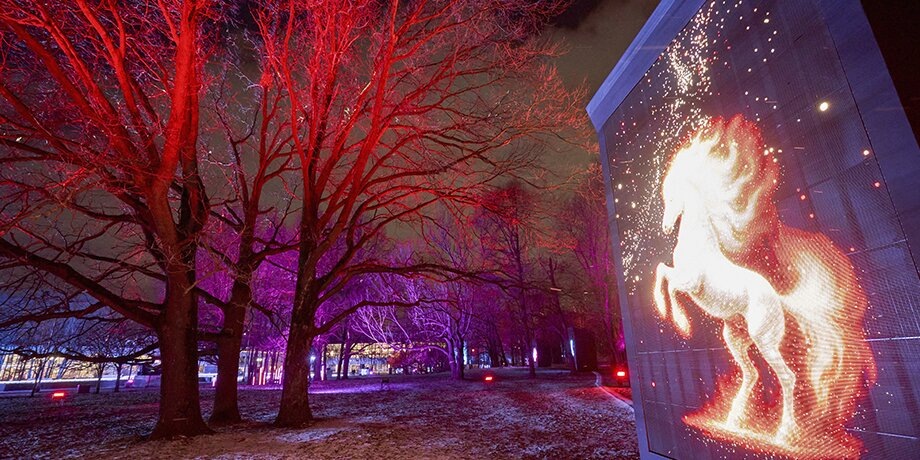    Фото: портал мэра и правительства Москвы/Евгений Самарин