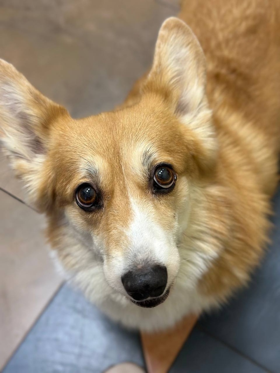 Создать карусель