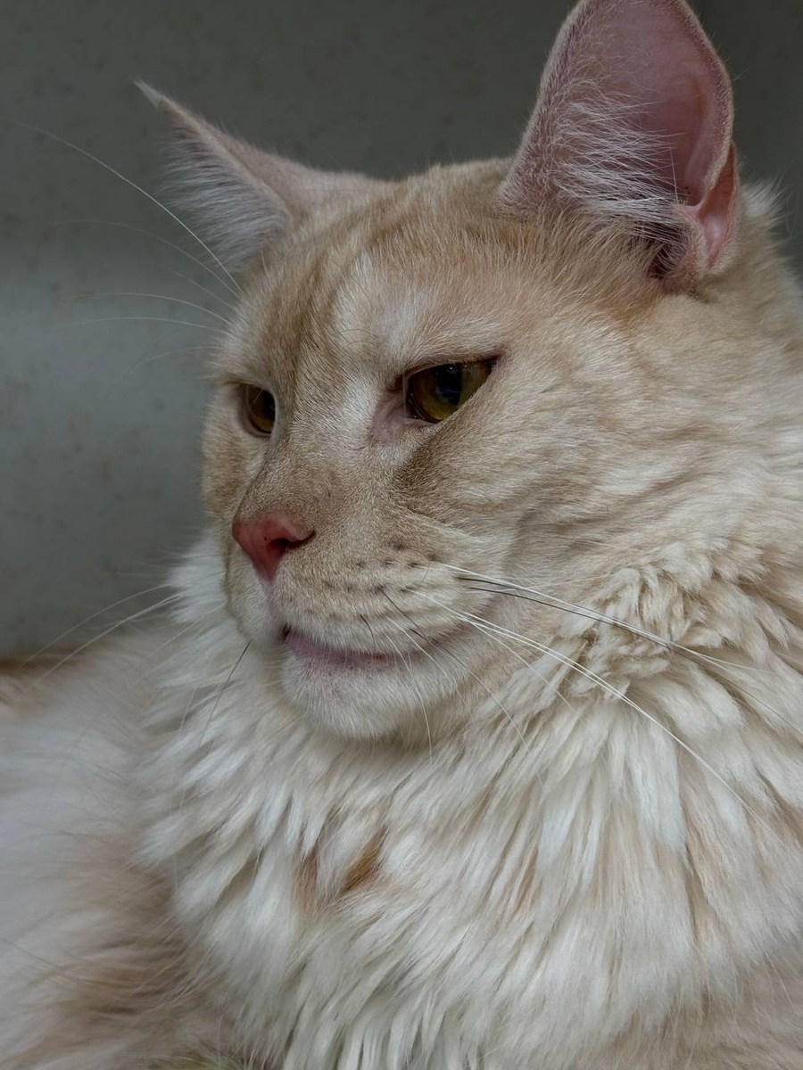 Создать карусель