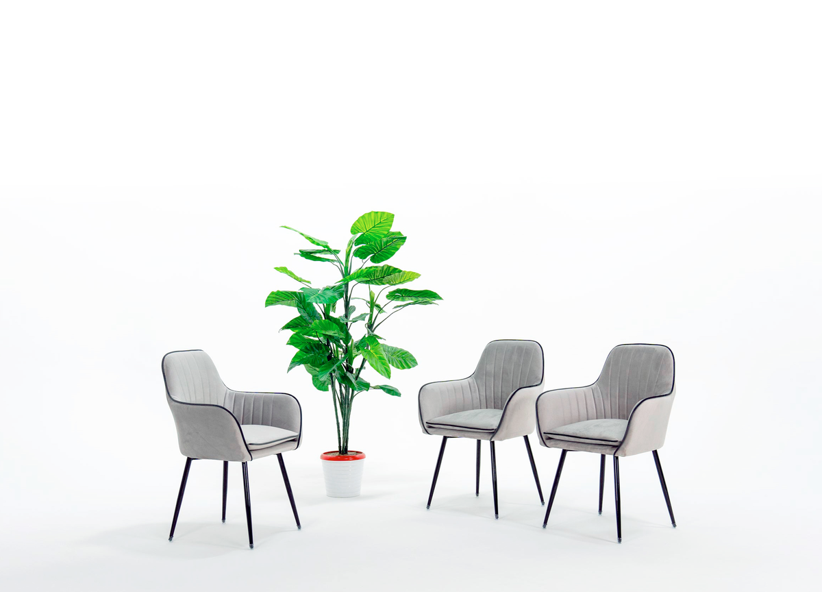 Белая Студия