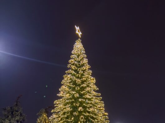    главная городская елка Ростова в 2024 году // фото: Денис Демков