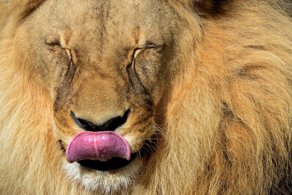    Фото © Zuma / ТАСС