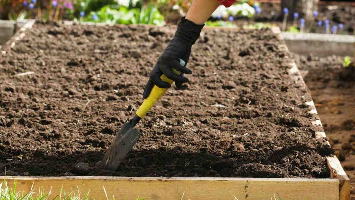 Фото: planetnatural.com