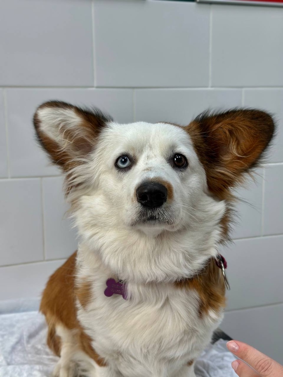 Создать карусель