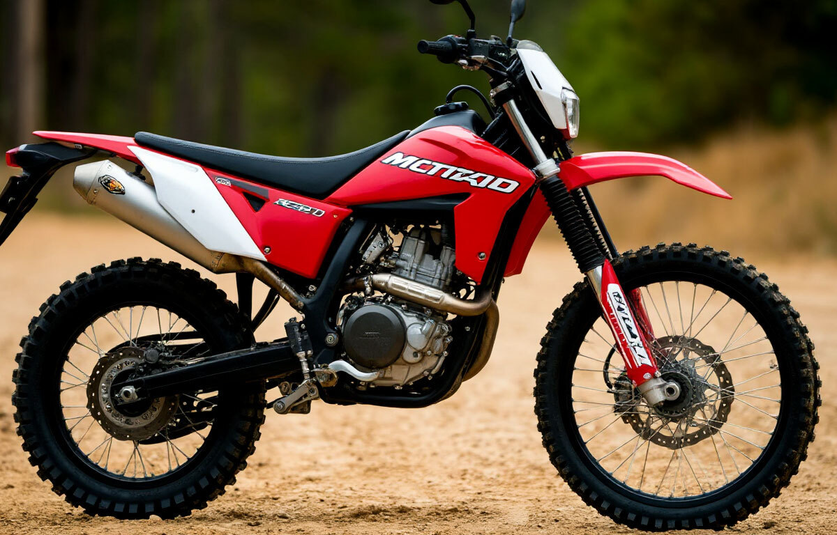    Фото: Коллаж RuNews24.ru