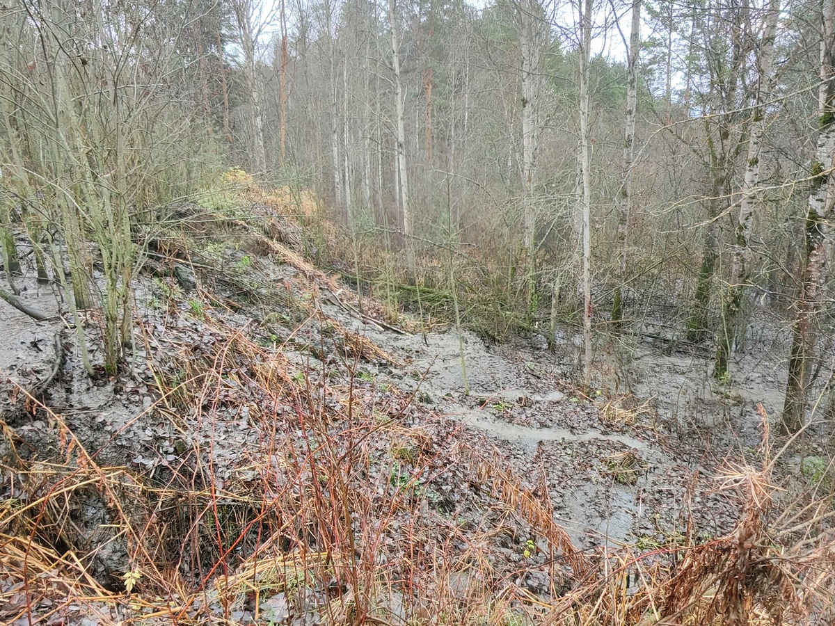    фото: © Столица на Онего