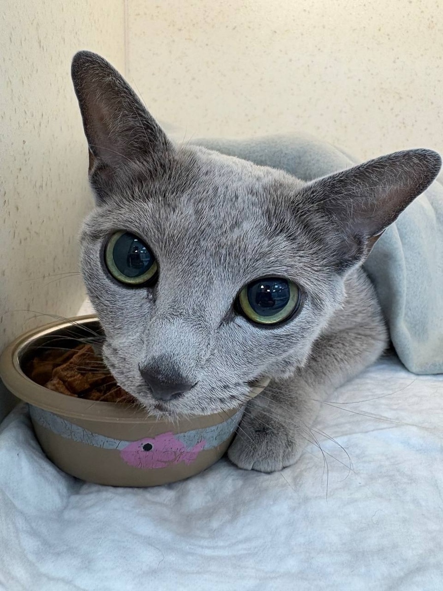 Создать карусель