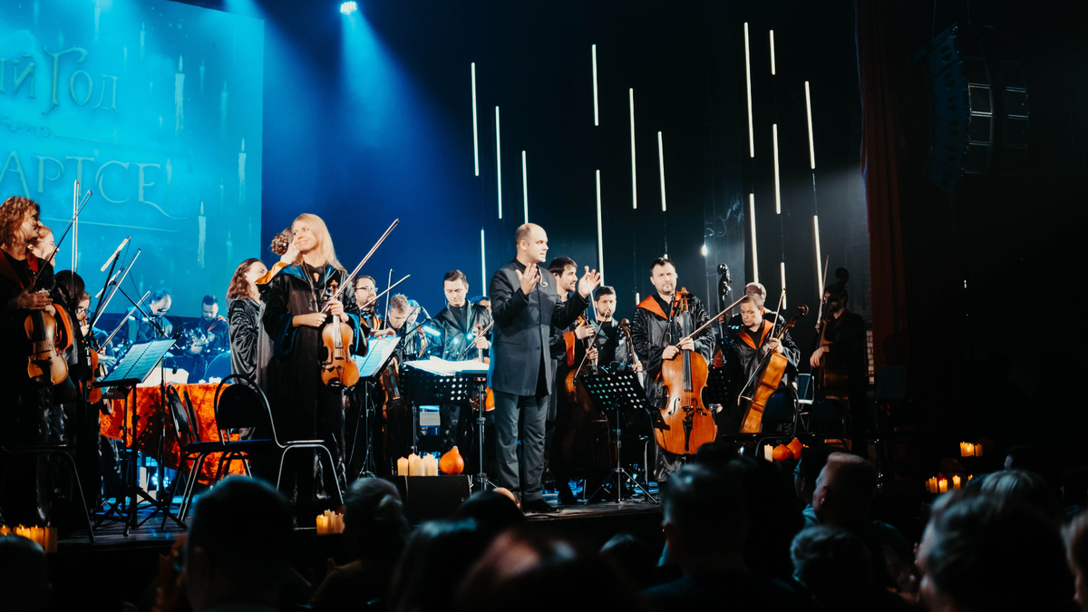 Фото предоставлено организаторами шоу «Новый год в Хогвартсе»