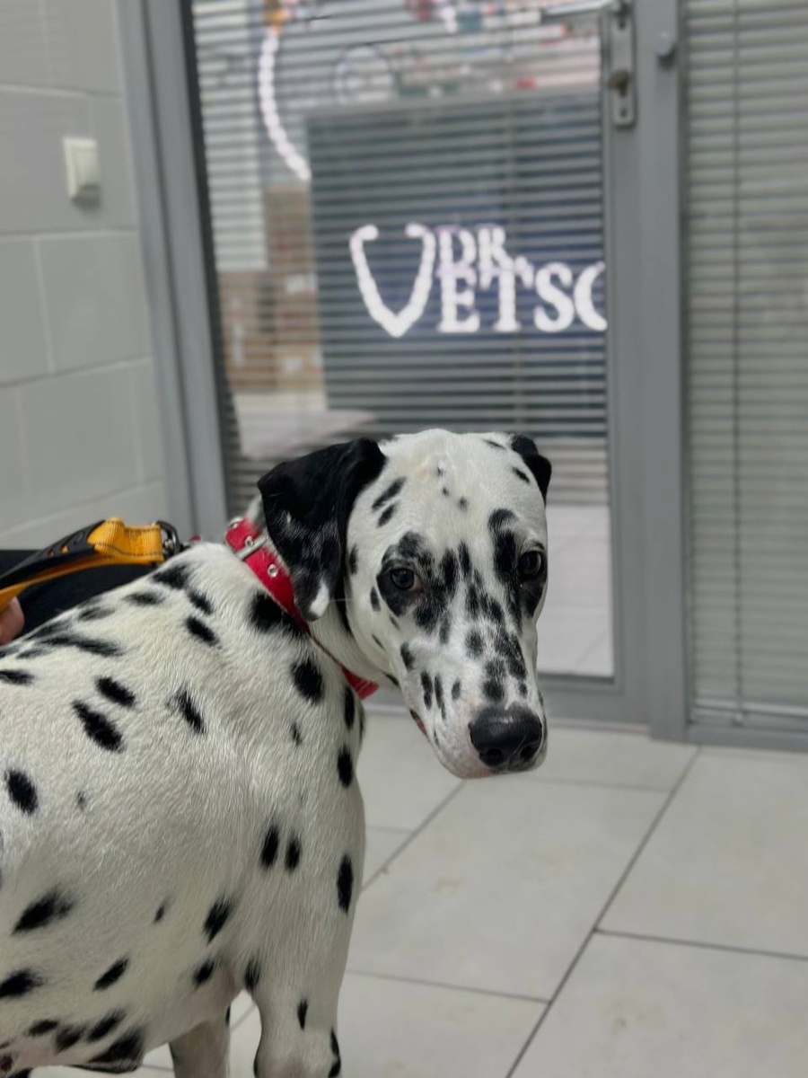 Создать карусель