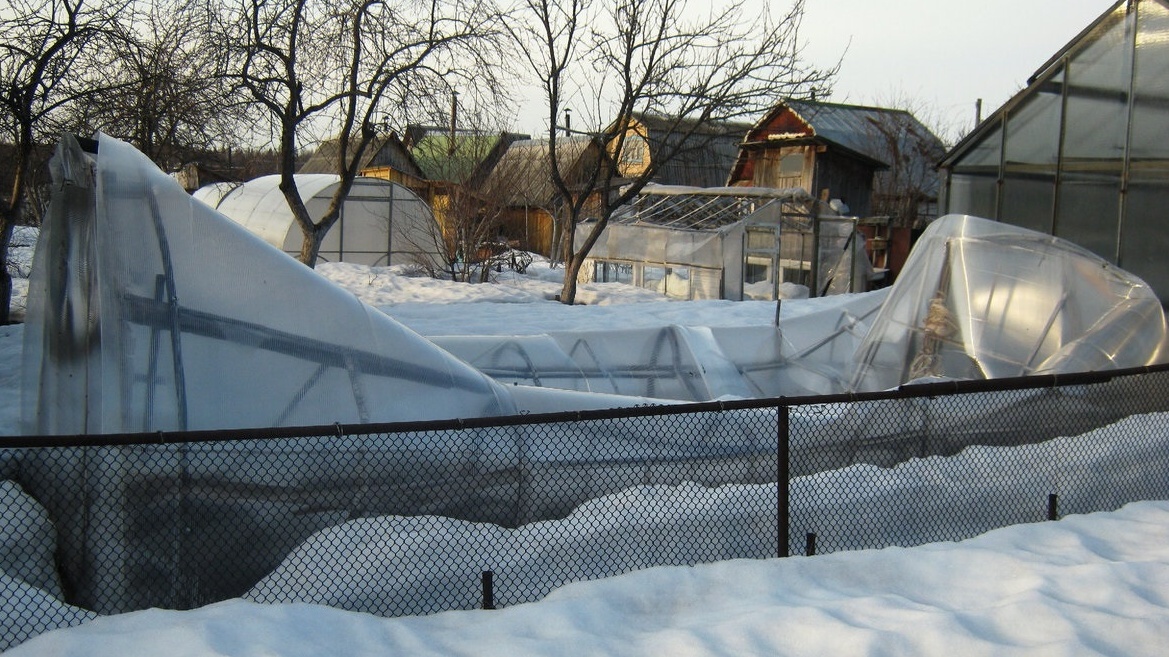Вот так выглядела моя теплица после снегопада - 45 тысяч рублей превратились в груду металла