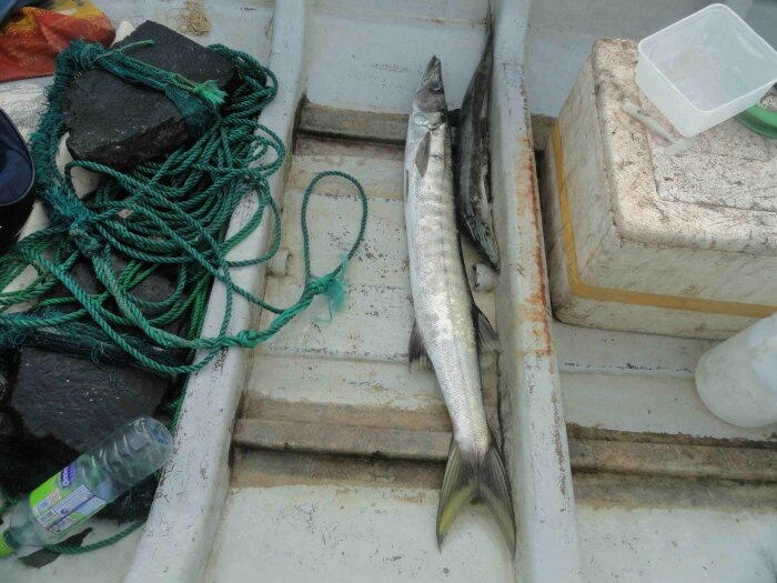 Очевидно, продавцы не боятся того, что свежая рыба останется нераспроданной / Фото: Vostok.Today