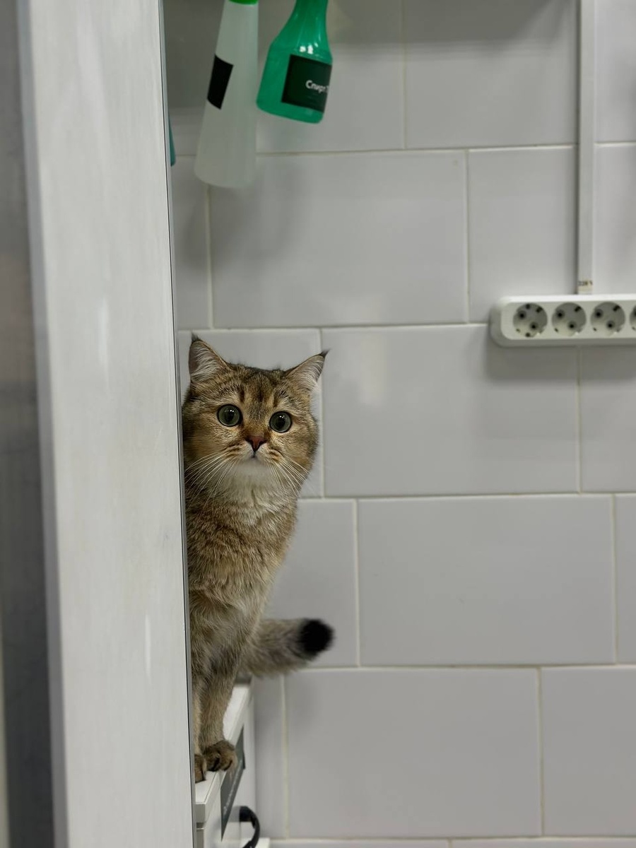 Создать карусель