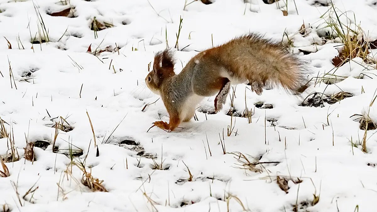    Фото: vm.ru Павел Евсеев