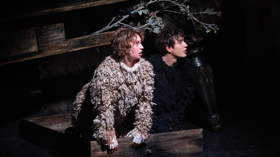 Сцена из спектакля «Мох. История одного пса», режиссер Екатерина Корабельник, 12+.📷Фото: Анастасия Борисова