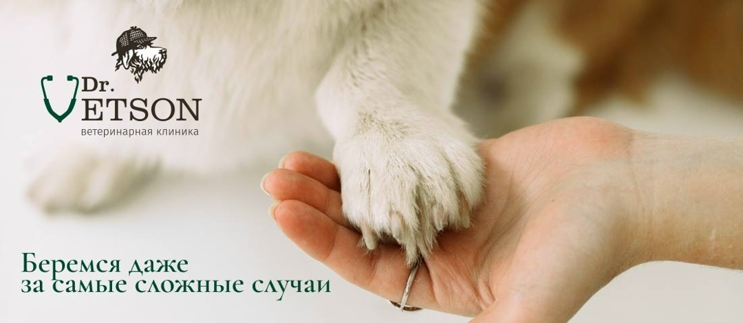 Создать карусель