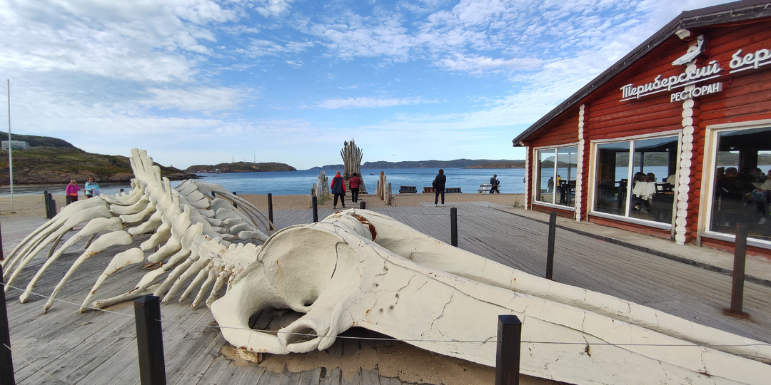 Отзыв о поездке в Мурманск и Териберку 2025. Цены — просто дикие, на ледокол — очередь. Китов тут летом не бывает! Щи из морской капусты