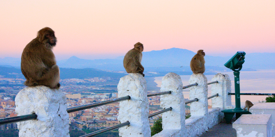 Гибралтар: Твердыня, за которую бились империи