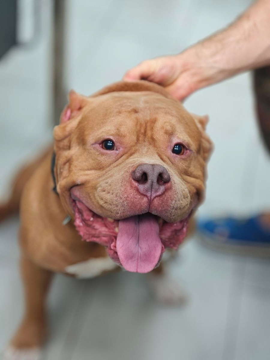 Создать карусель