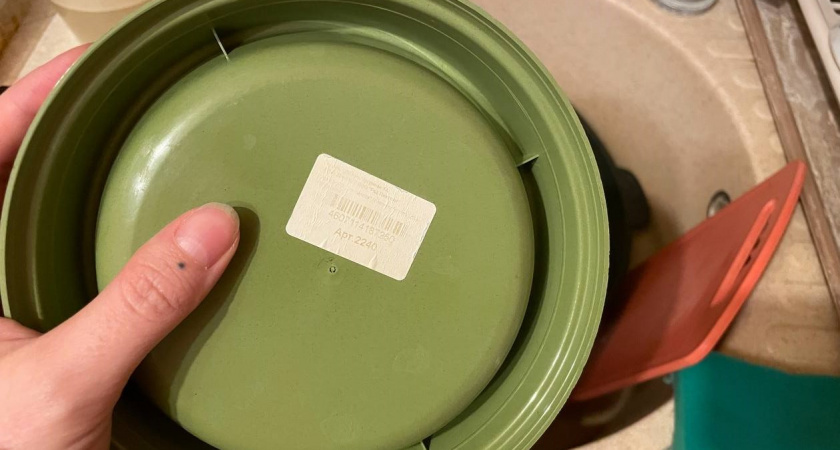    Автор фото - Анна Ефимова