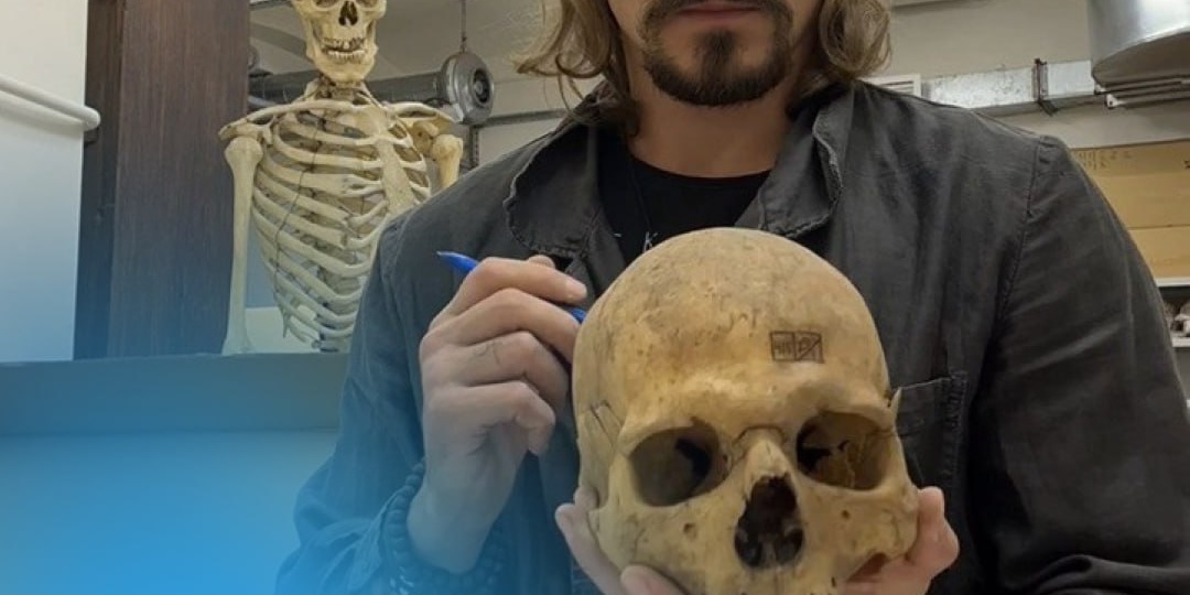 Тяжелый ручной труд, драки и нехватка еды — маркеры стресса людей Средневековья