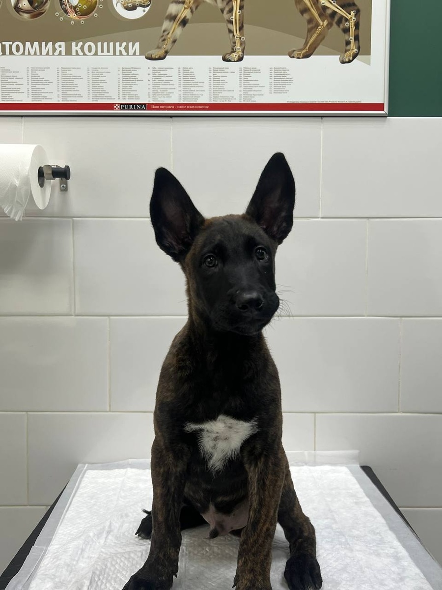 Создать карусель