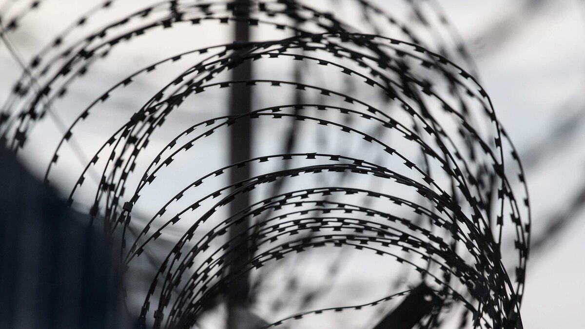    Фото: Ilya Moskovets/globallookpress.com