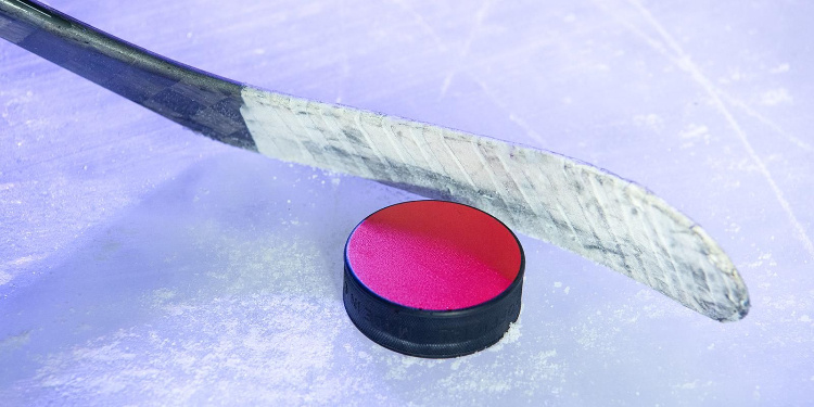    Фото: Д. Гришкин, mos.ru