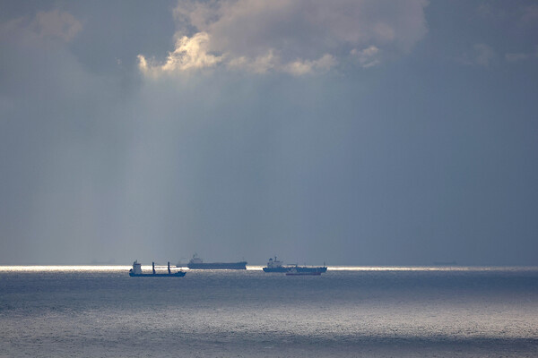 Виталий Тимкив/РИА Новости 