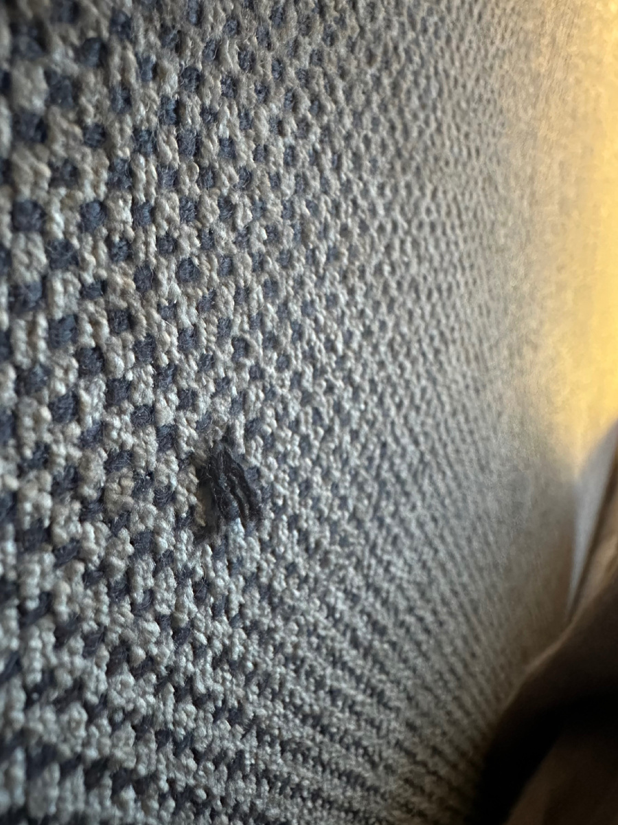 И я такой же черный пучок. Но рядом - Свет.