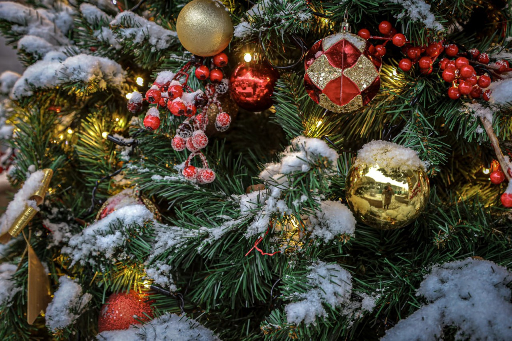 Фото: Михаил Гладчук