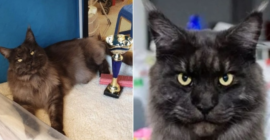 Из архива хозяйки