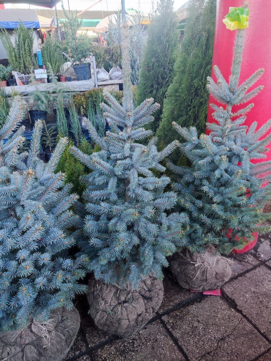 Фото: Андрей Новохатько