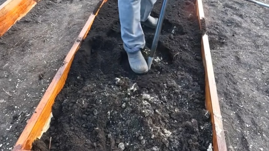 Правильная заделка древесного угля на глубину 20 см половиной штыка лопаты