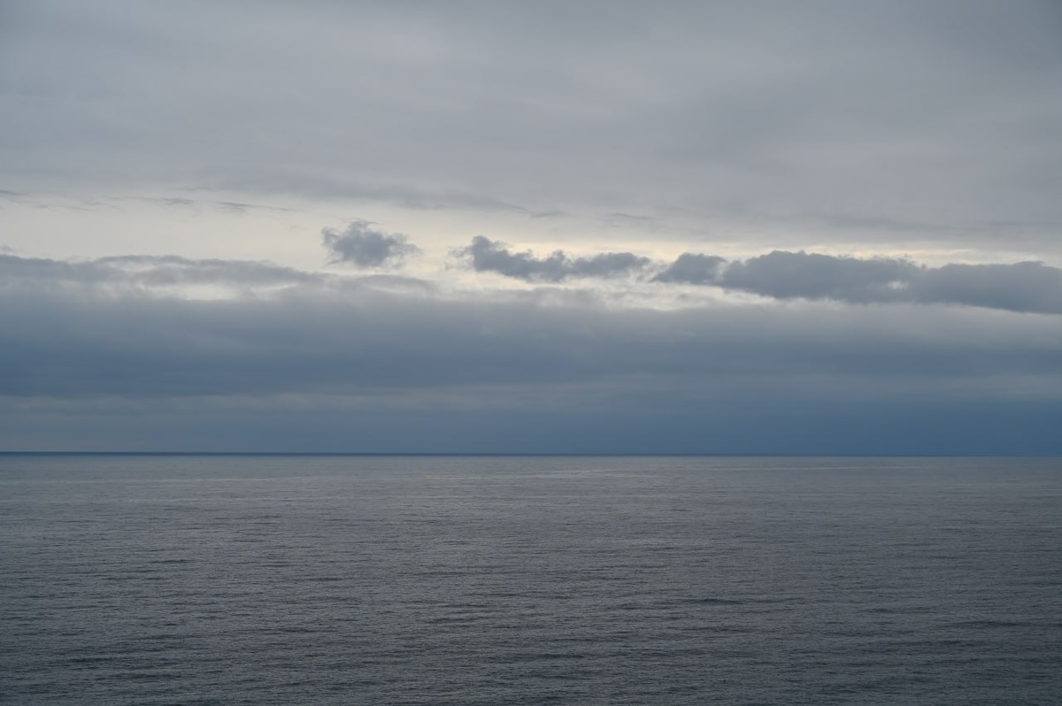 Фото: Гала Амарандо