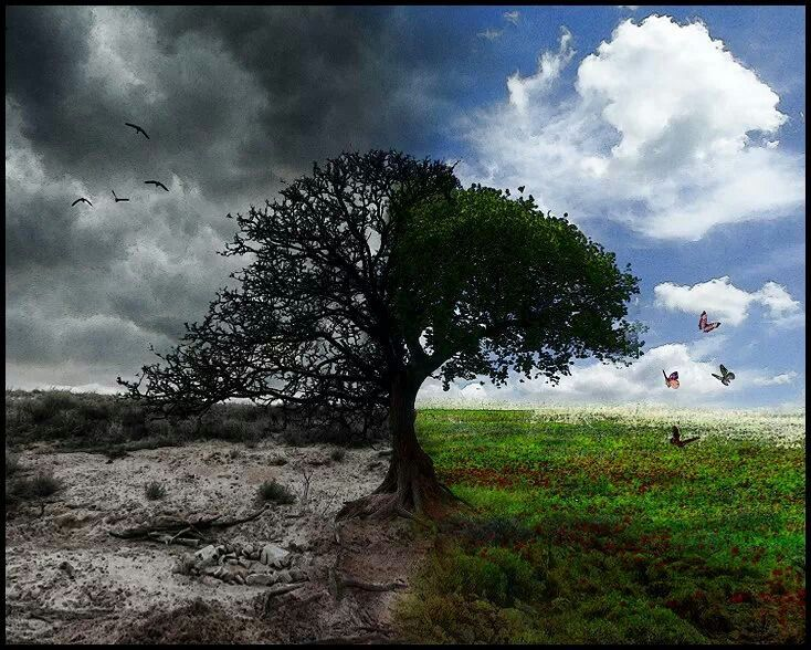 Иллюстрация из открытых источников в сети интернет.